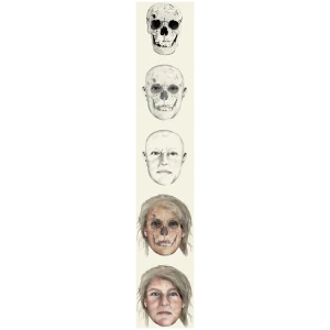 Framhlid bokamerkis Saga