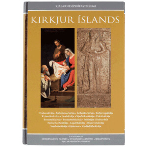 Kirkjur Íslands bindi 11-12