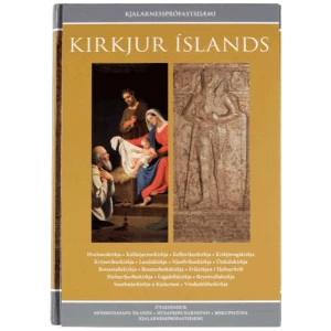 Kirkjur Íslands bindi 11-12