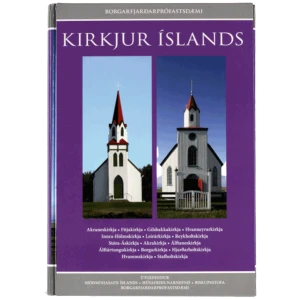 Kirkjur Íslands bindi 13-14