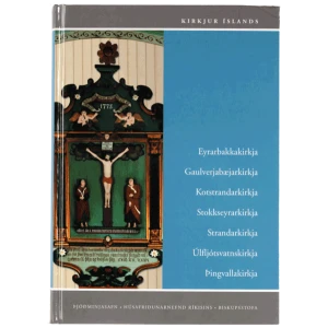 Kirkjur Íslands bindi 4