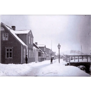 Segull. Lækjargata að vetri 1883