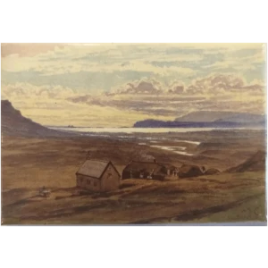 Segull. Sauðafell Collingwood