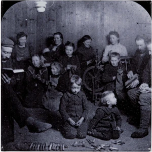 Segull. Vetrarkvöld