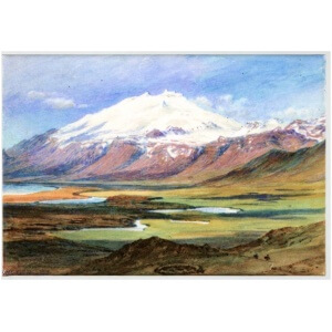 Segull. Snæfellsjökull